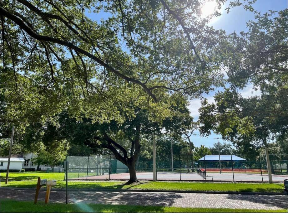 In The Center Of Gulfport, Min Away From The Beach! セント・ピーターズバーグ エクステリア 写真
